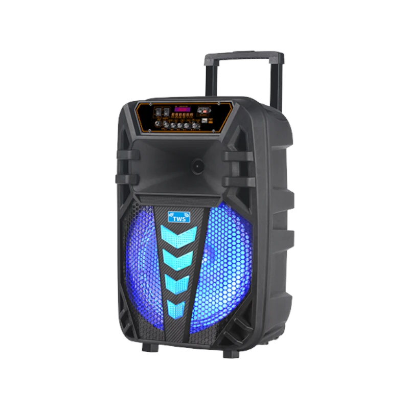 zvučnik bluetooth 12"